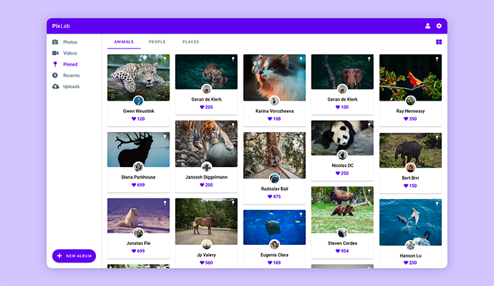 Google Material Design Web App project image